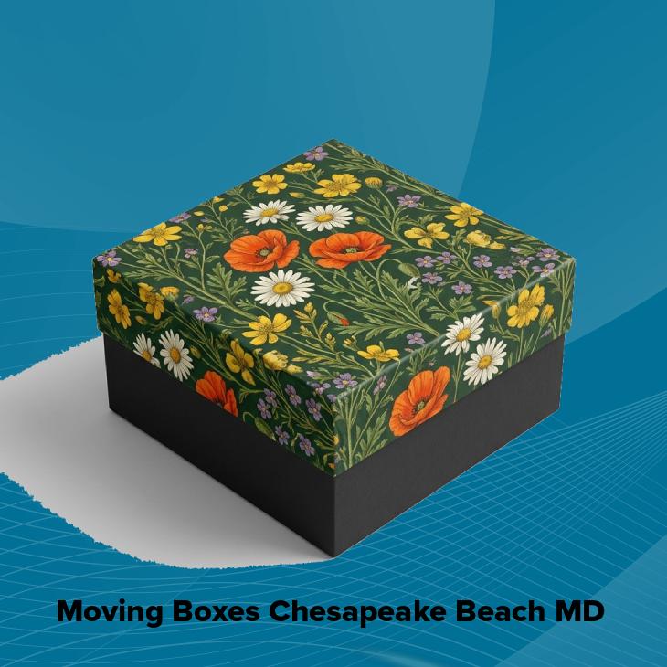 Moving boxes chesapeake beach md