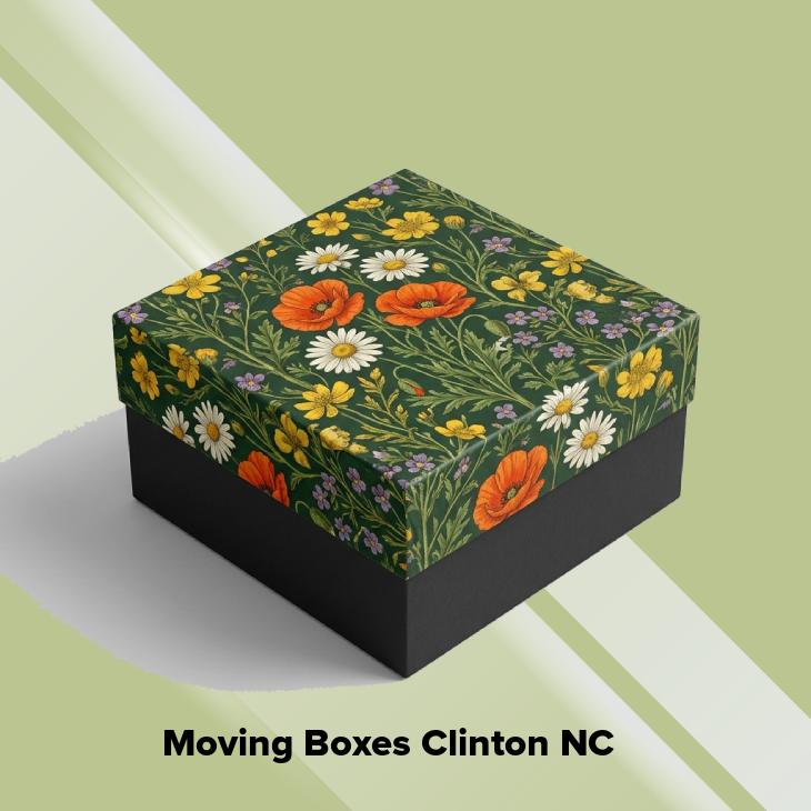Moving boxes clinton nc