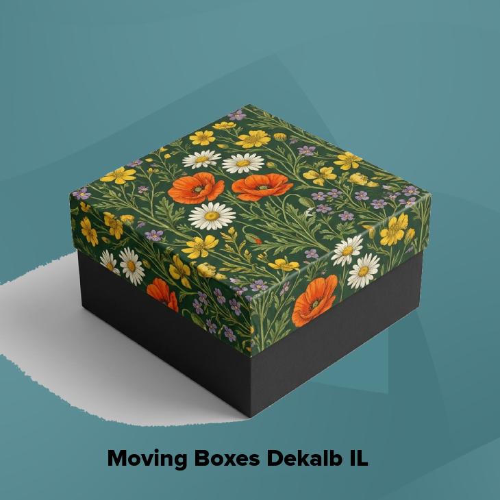 Moving boxes dekalb il