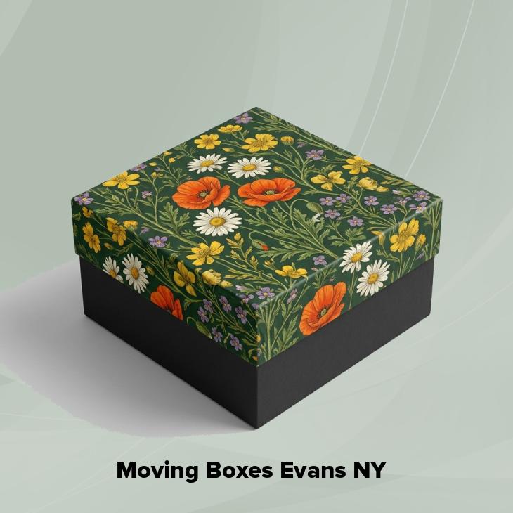 Moving boxes evans ny