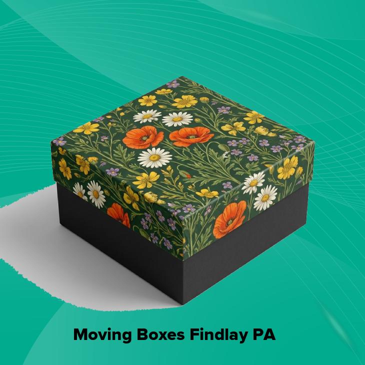 Moving boxes findlay pa