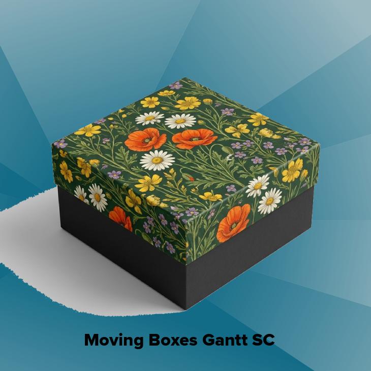 Moving boxes gantt sc