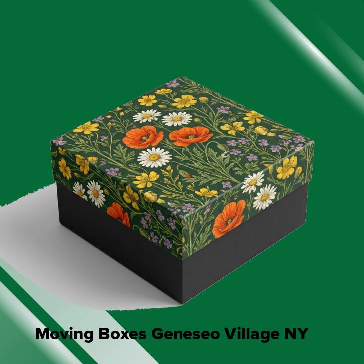 Moving boxes geneseo village ny