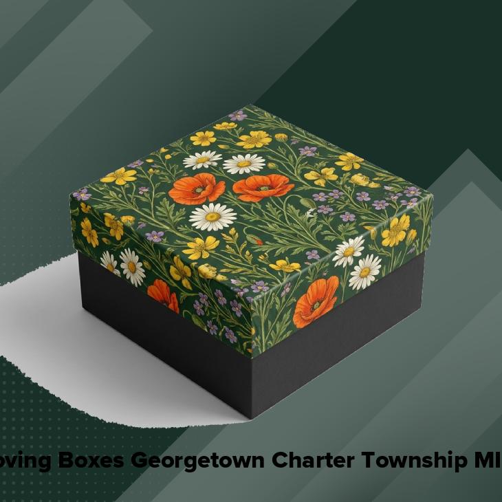 Moving boxes georgetown charter township mi