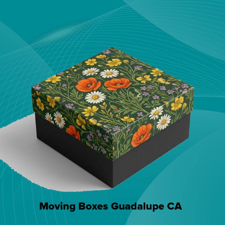 Moving boxes guadalupe ca