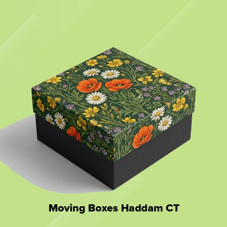 Moving boxes haddam ct