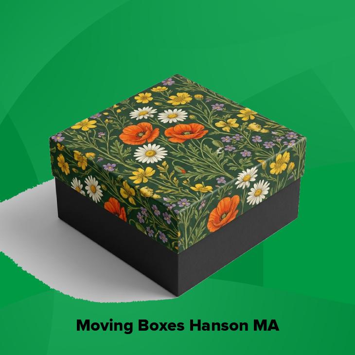 Moving boxes hanson ma
