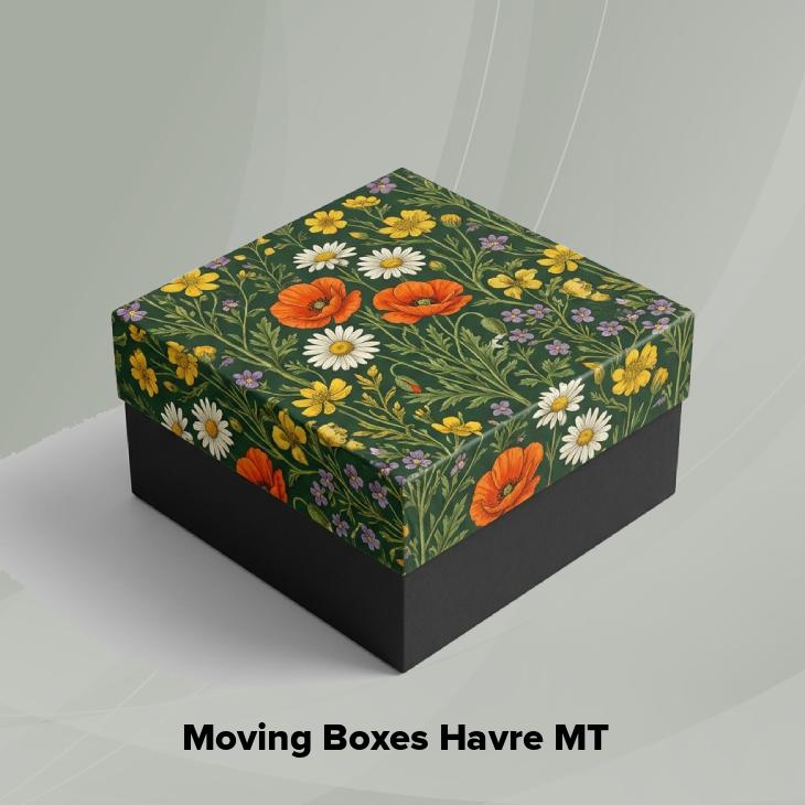 Moving boxes havre mt
