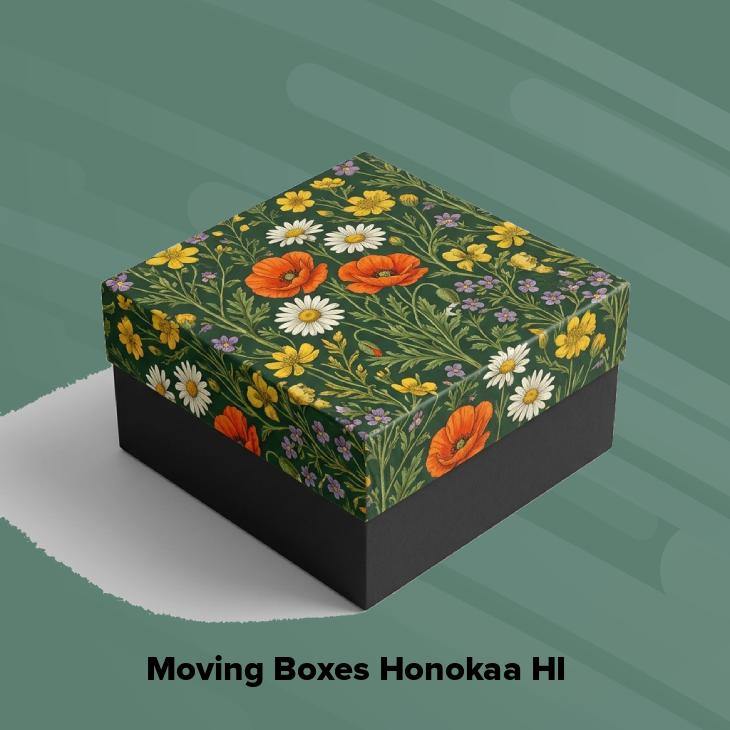 Moving boxes honokaa hi