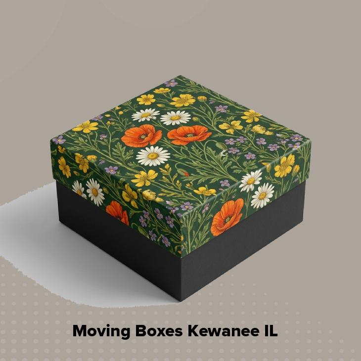 Moving boxes kewanee il