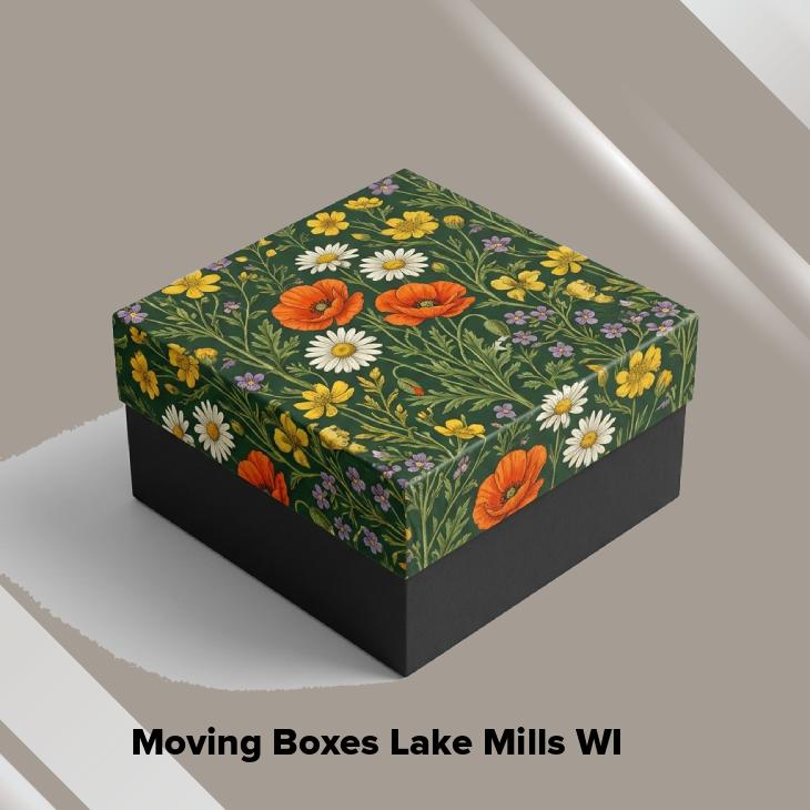 Moving boxes lake mills wi