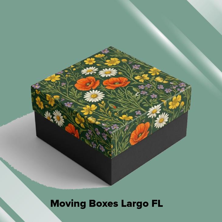 Moving boxes largo fl