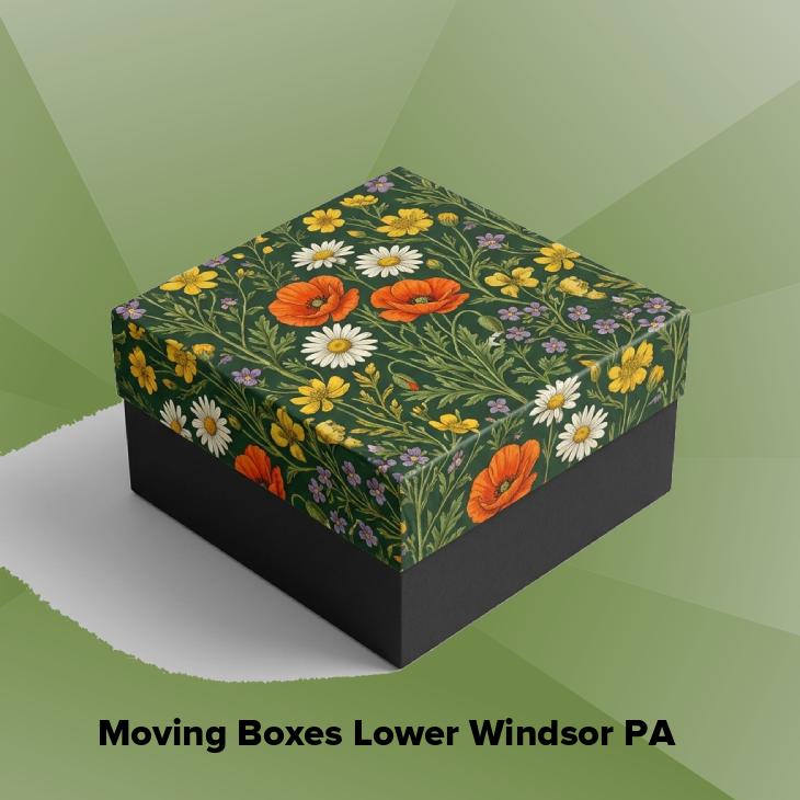 Moving boxes lower windsor pa