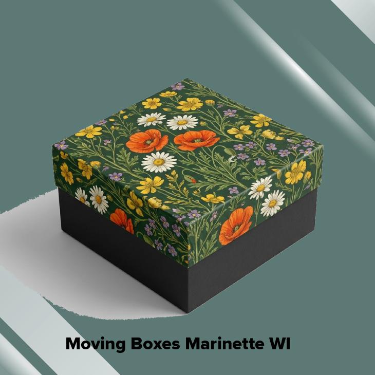 Moving boxes marinette wi