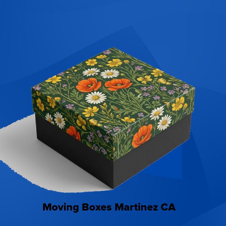 Moving boxes martinez ca