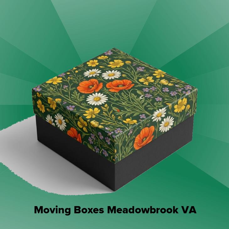 Moving boxes meadowbrook va