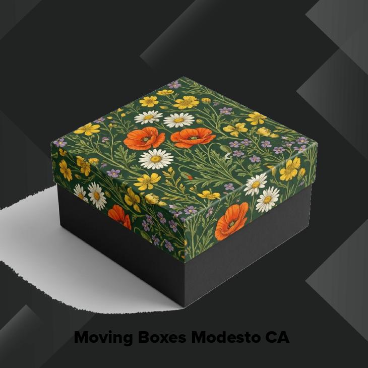 Moving boxes modesto ca