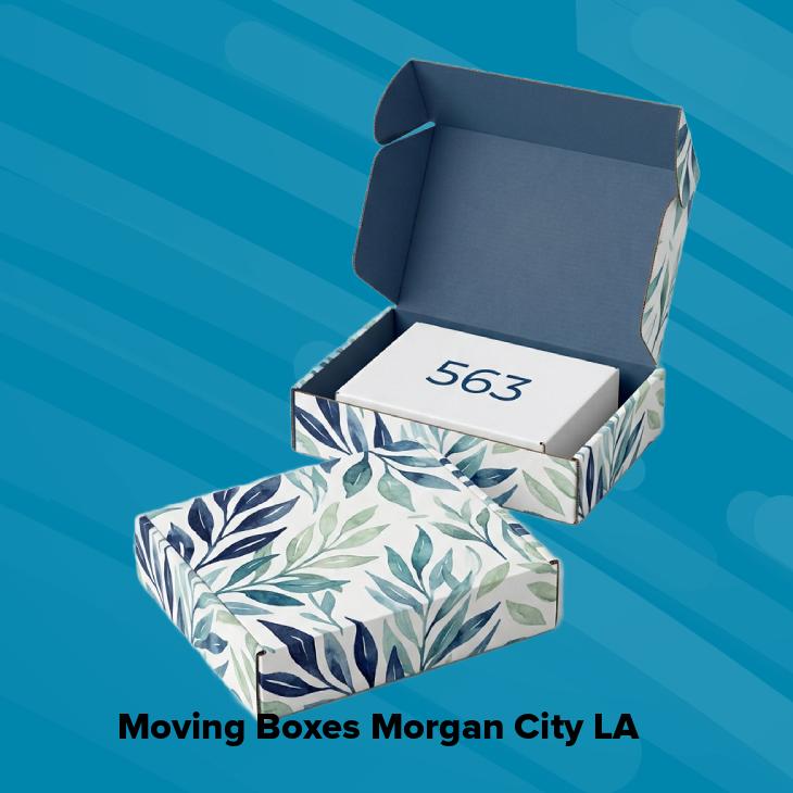 Moving boxes morgan city la