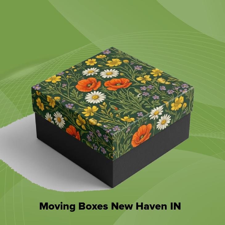 Moving boxes new haven in