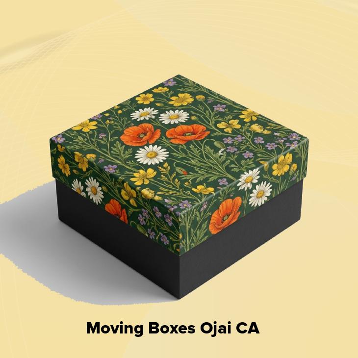 Moving boxes ojai ca