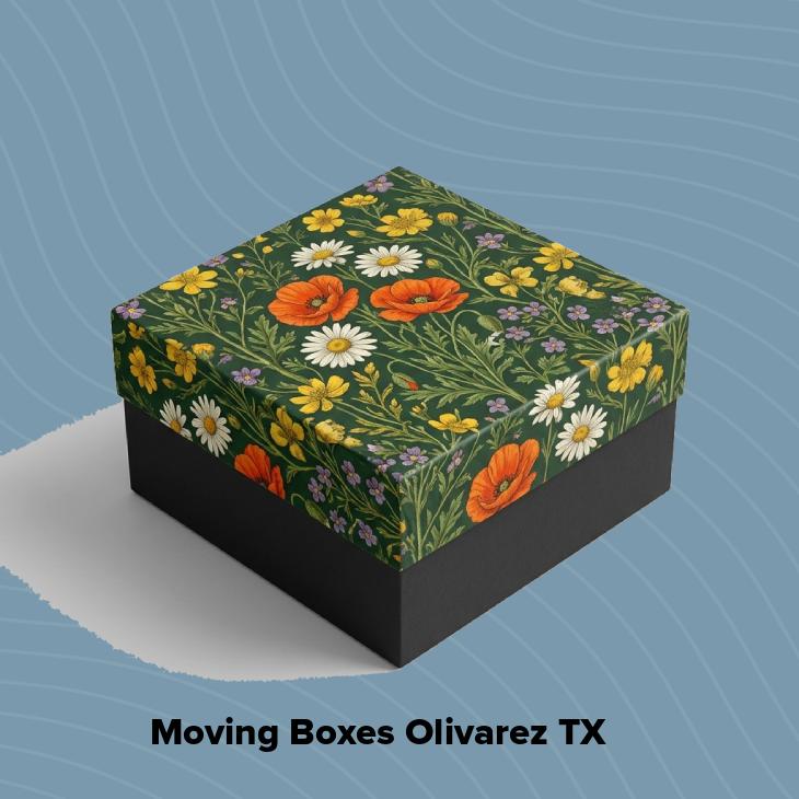 Moving boxes olivarez tx