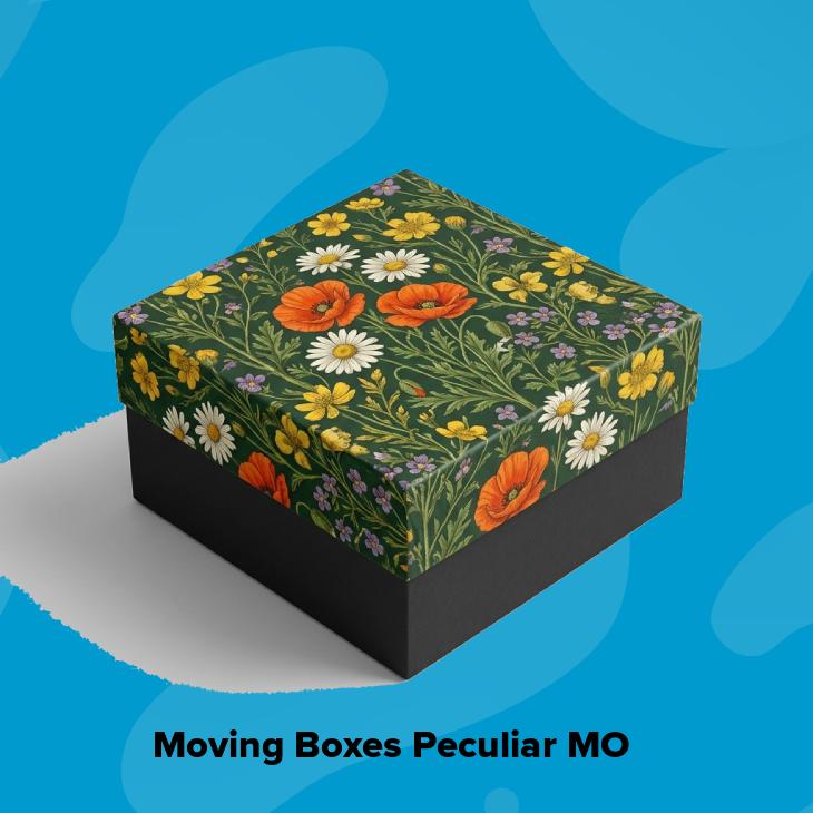 Moving boxes peculiar mo