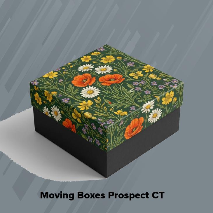 Moving boxes prospect ct