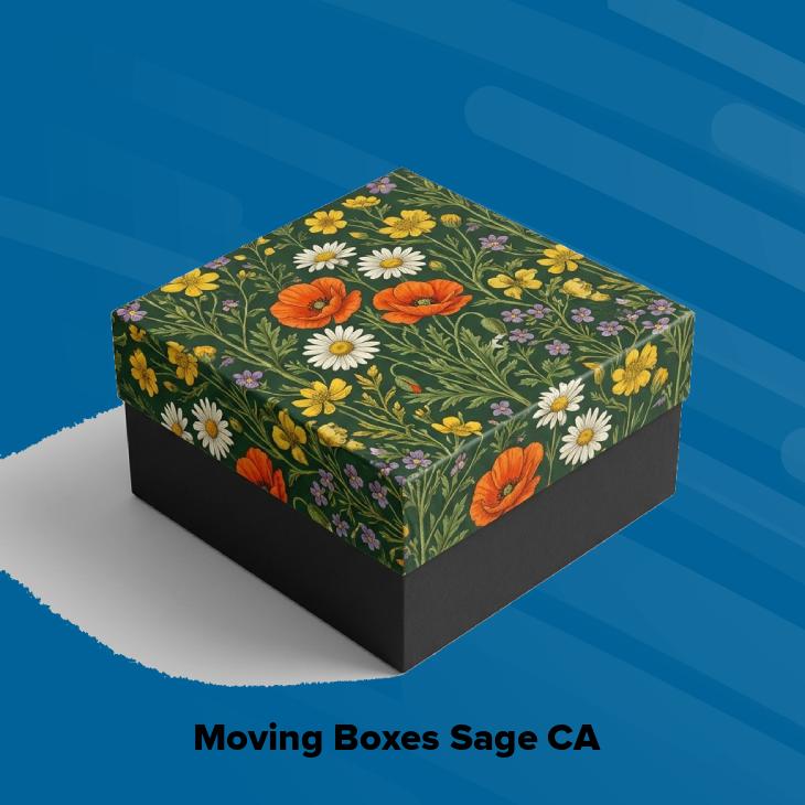 Moving boxes sage ca