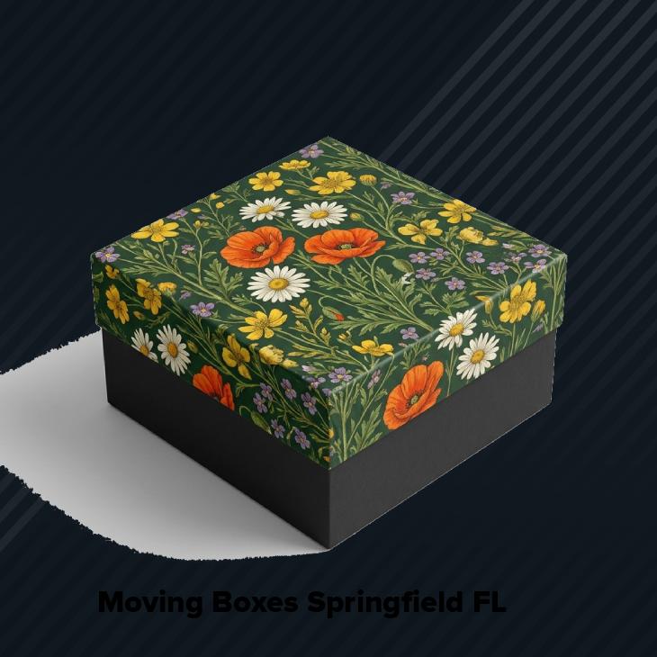 Moving boxes springfield fl