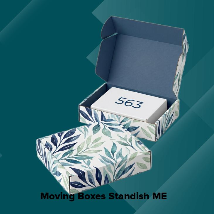 Moving boxes standish me