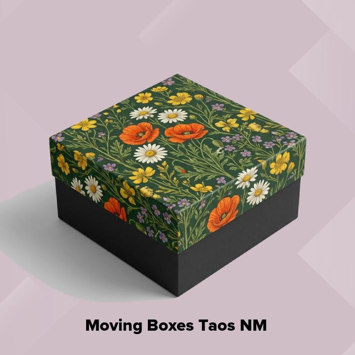 Moving boxes taos nm