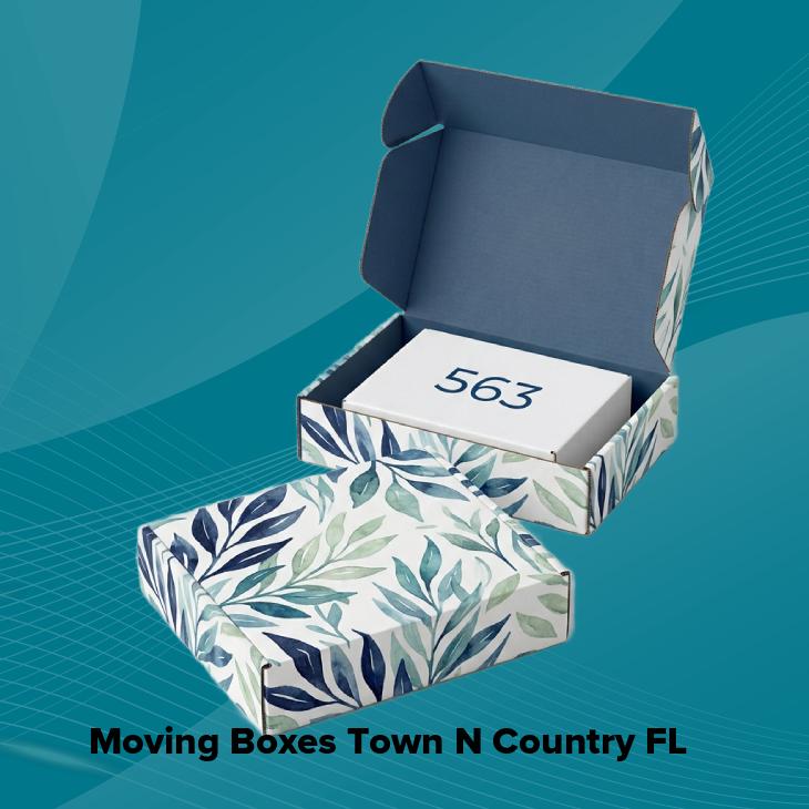 Moving boxes town n country fl