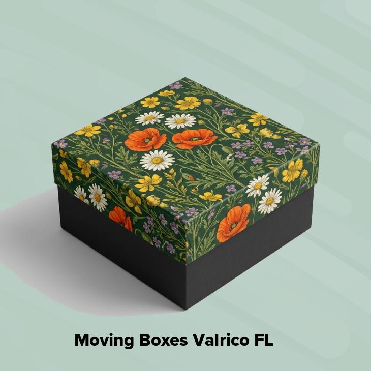 Moving boxes valrico fl