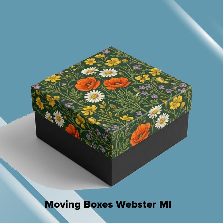 Moving boxes webster mi