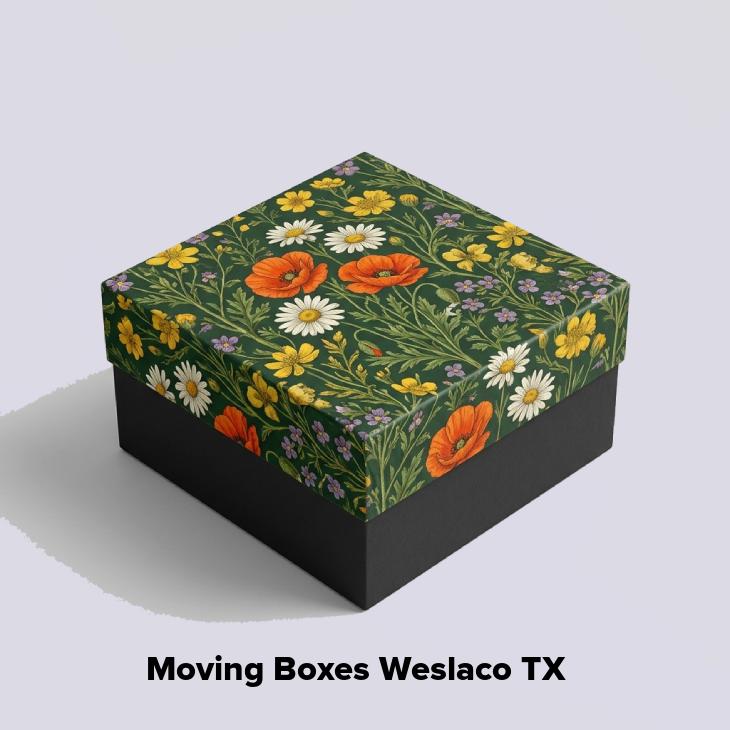 Moving boxes weslaco tx