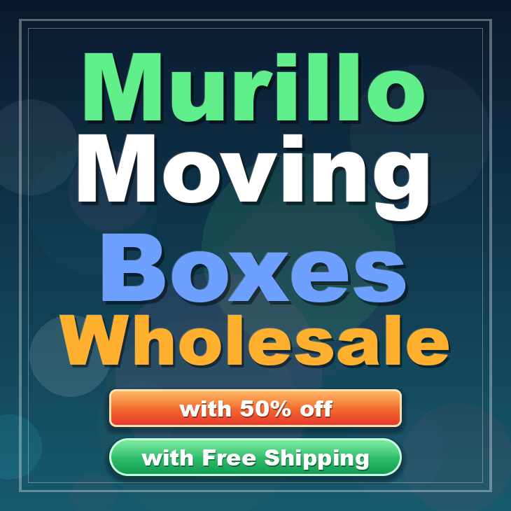 Murillo moving boxes