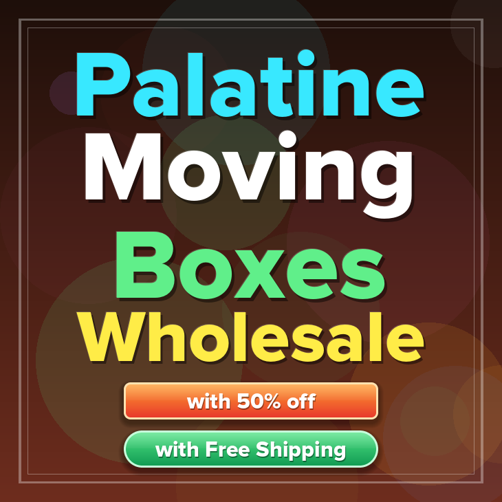 Palatine moving boxes