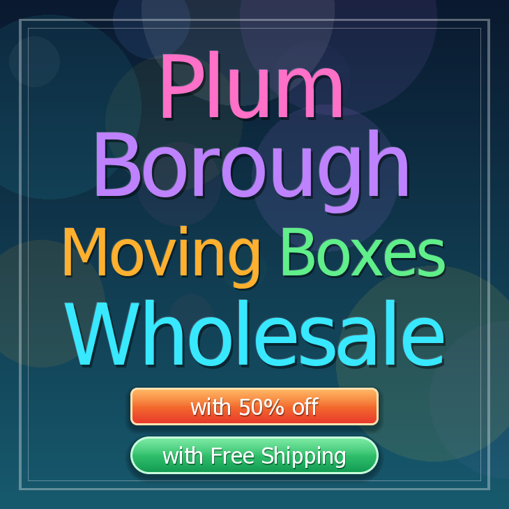 Plum Borough moving boxes