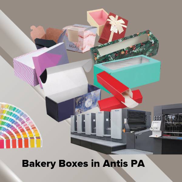 Bakery boxes in antis pa