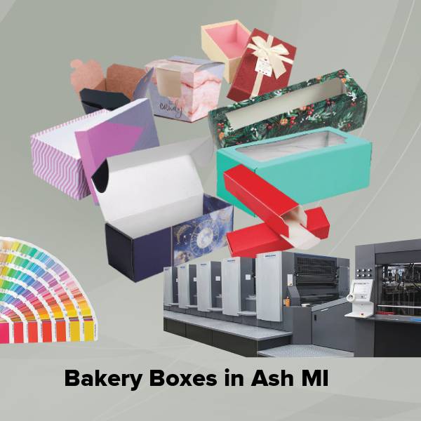 Bakery boxes in ash mi