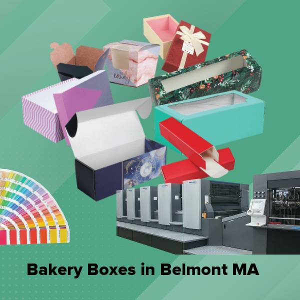 Bakery boxes in belmont ma