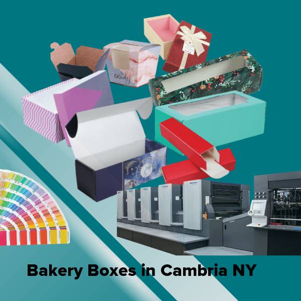 Bakery boxes in cambria ny