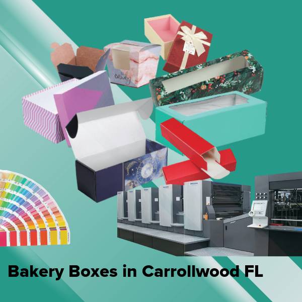 Bakery boxes in carrollwood fl