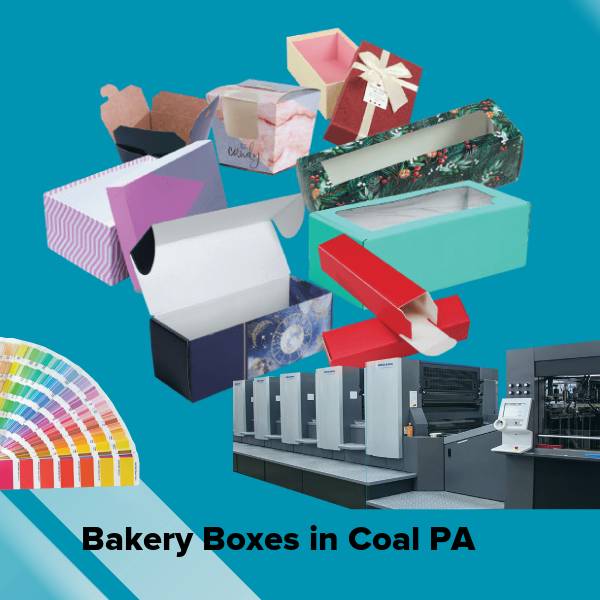 Bakery boxes in coal pa