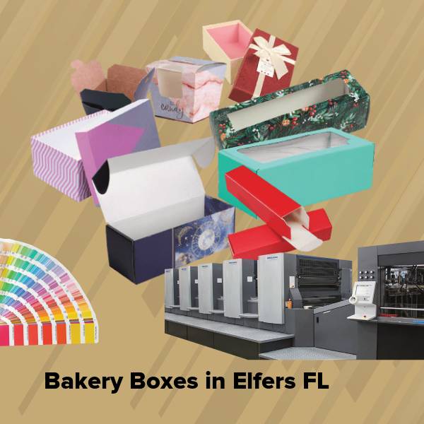 Bakery boxes in elfers fl