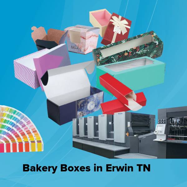 Bakery boxes in erwin tn