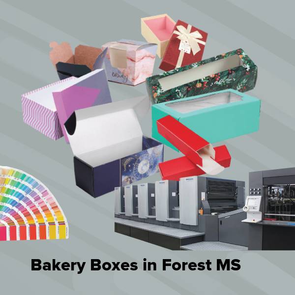 Bakery boxes in forest ms