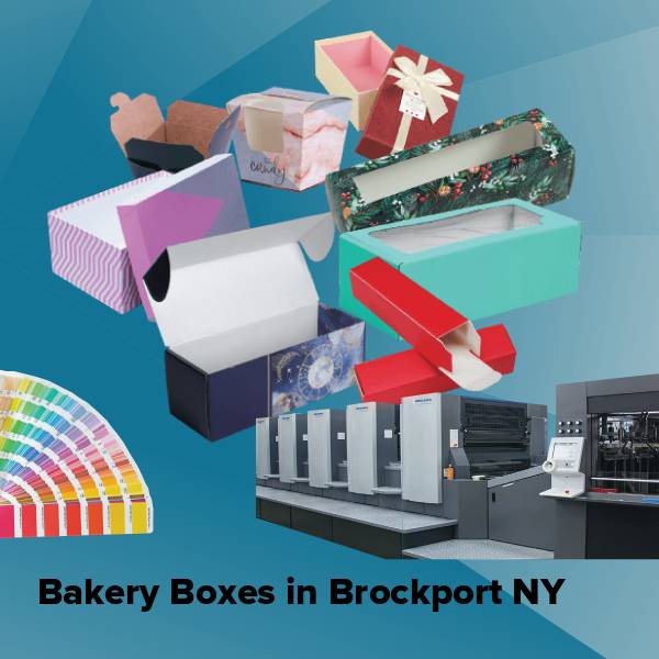 Bakery boxes in brockport ny