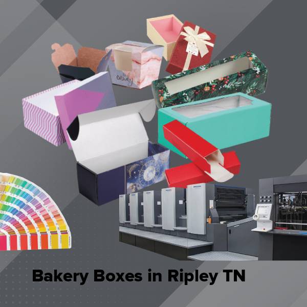 Bakery boxes in ripley tn