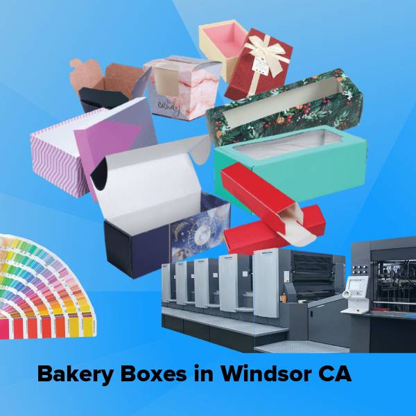 Bakery boxes in windsor ca